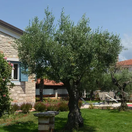 Villa Sverko With Garden In Novigrad