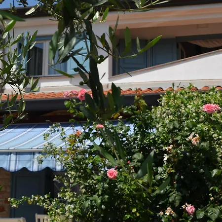 Villa Sverko With Garden In Novigrad *